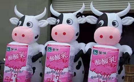 渝中牛奶厂广告气模